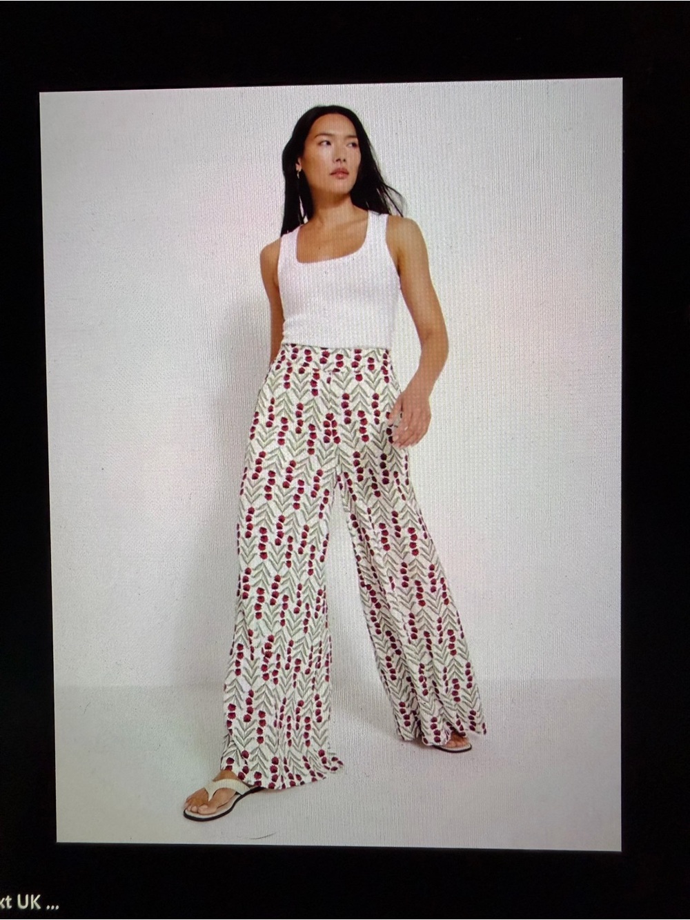 Wide-Leg Printed Palazzo Pants - White with Red & Green
